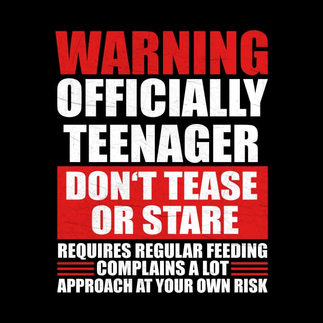 Warning Officially Teenager by funkyteesfunny