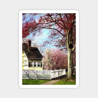 Flowering Trees in Spring Magnet