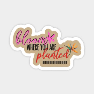 Bloom where are you planted Magnet