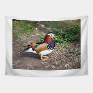 Mandarin Duck Tapestry