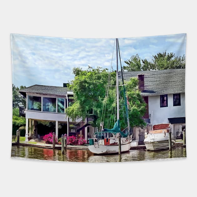 Alexandria VA - Docked Boats Tapestry by SusanSavad