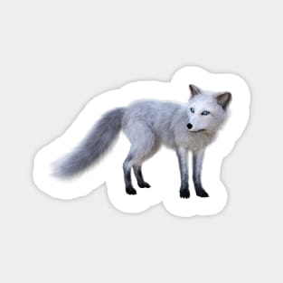 Arctic Fox Magnet