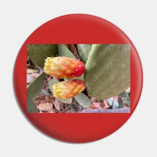 Prickly Pear Pin