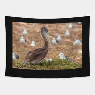 Brown Pelican Tapestry