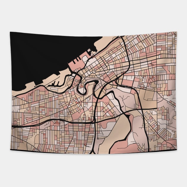 Cleveland Map Pattern in Soft Pink Pastels Tapestry by PatternMaps