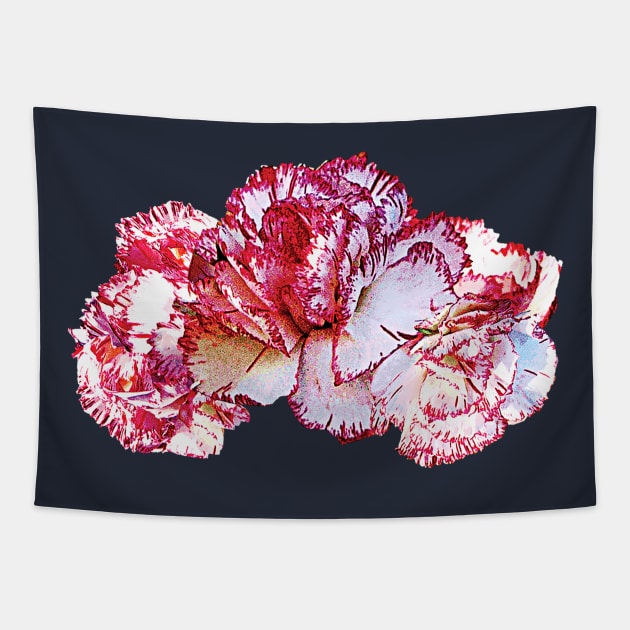 Carnations - Three Pink-Tipped Carnations Tapestry by SusanSavad