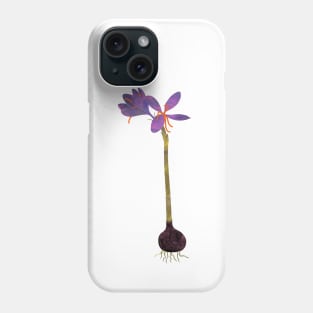 Saffron crocus spring Phone Case