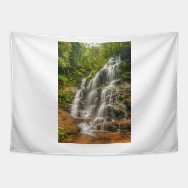 Sylvia Falls Tapestry by Michaelm43