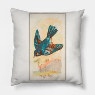 Indigo bird Pillow