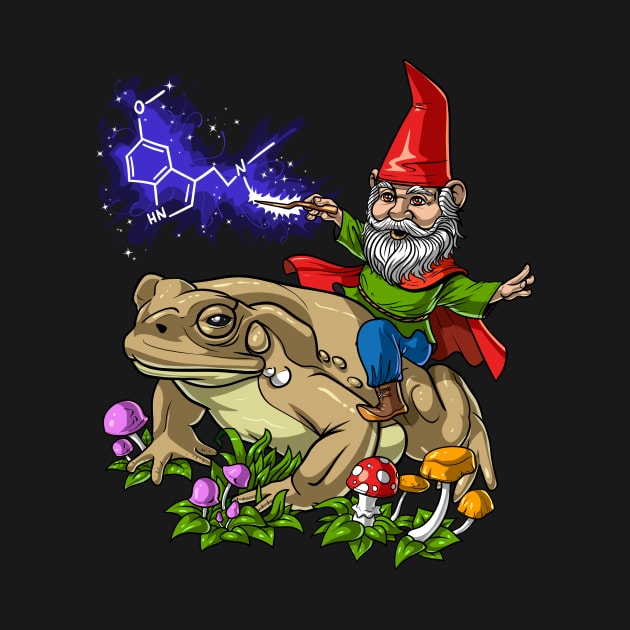 Gnome Riding Psychedelic Bufo Alvarius by underheaven