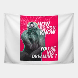 How Do You Know You're Not Dreaming? | The Thinker Tapestry