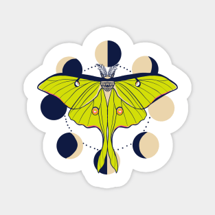 Celestial moon moth Magnet