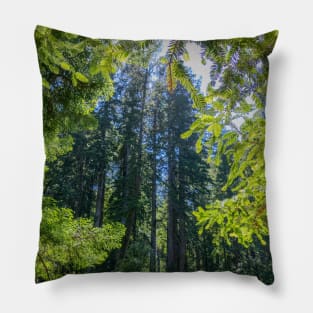 Various Shades of Green in Muir Woods National Monument Pillow