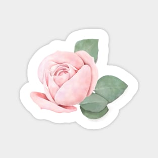 Pink Rose Art Magnet