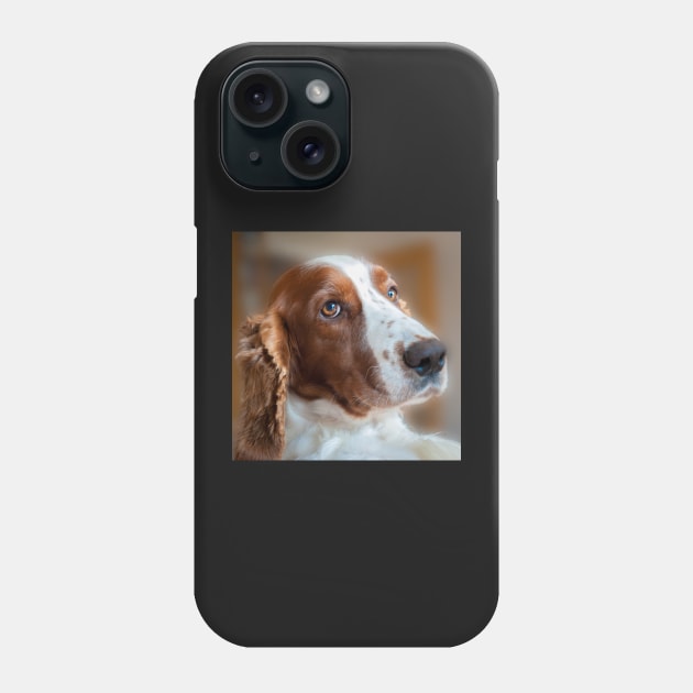 Welsh Springer Spaniel Phone Case by RJDowns