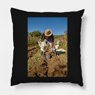 Potatoes harvest Pillow