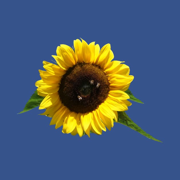 Sunflower With Bees by Pirino