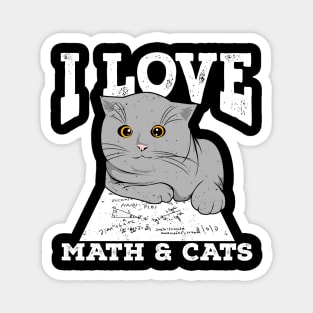 I Love Math And Cats Magnet