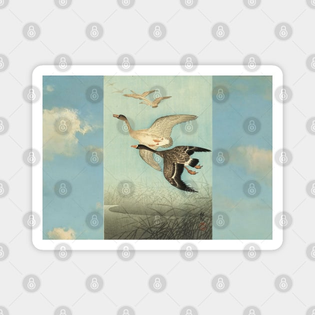 White fronted Geese in Flight Antique Japanese Paintings Magnet by BulganLumini