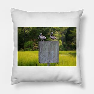 Pelican Times Two Pillow