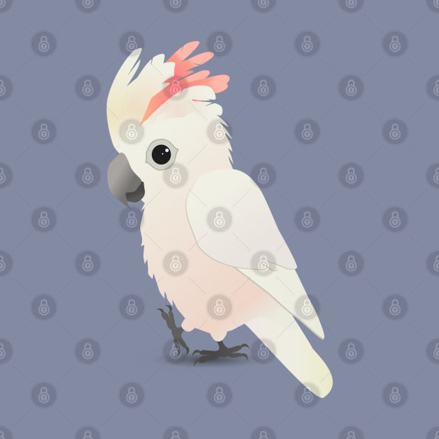 Salmon-crested cockatoo by Bwiselizzy