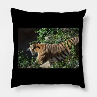 Roaring Tiger Pillow