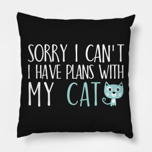 Sorry I can't I have plans with my cat Pillow