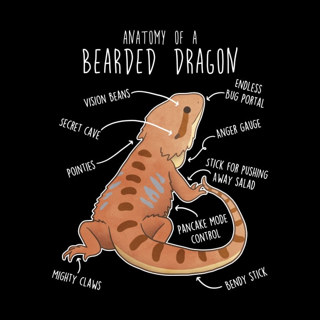 Bearded Dragon Lizard Reptile Anatomy by Psitta