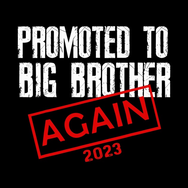 Promoted To Big Brother Again Est 2023 by tabbythesing960