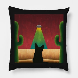 UFO in the desert Pillow