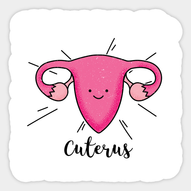 Image result for cuterus uterus