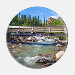 USA. Alaska. Denali National Park. Bridge. Pin