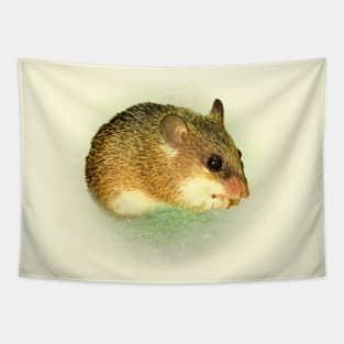 Cairo spiny mouse Tapestry