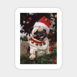 Christmas Holiday Santa Pug Dog Magnet