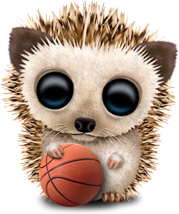 Baby Hedgehog Playing With Basketball Magnet