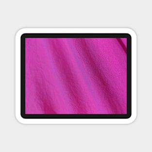 Color violet-fucsia Magnet