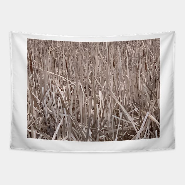 Cattails Tapestry by TerraDumont