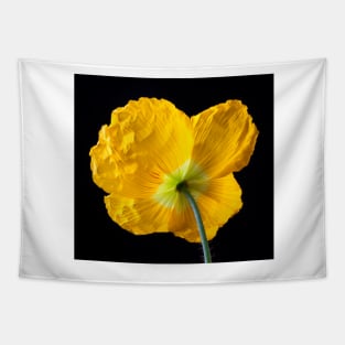 Lovely Yellow Iceland Poppy Tapestry