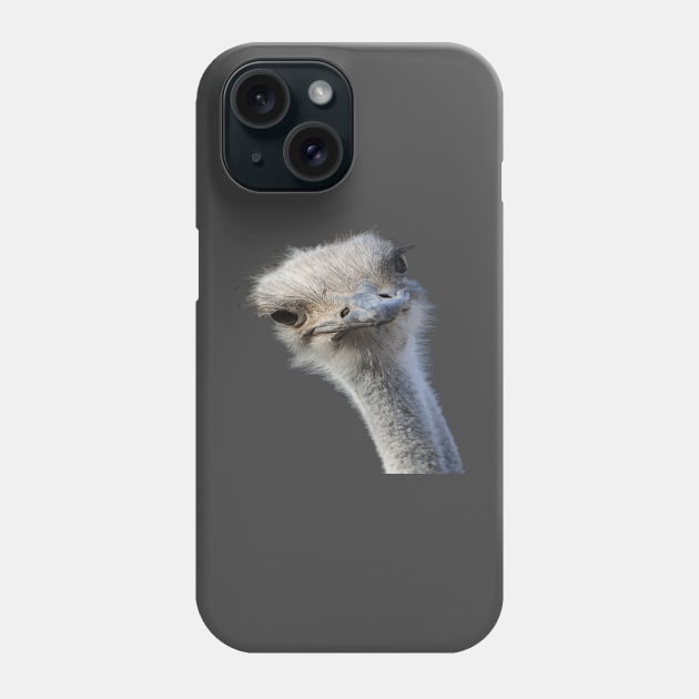 Ostrich Face With Gormless Expression Phone Case by taiche