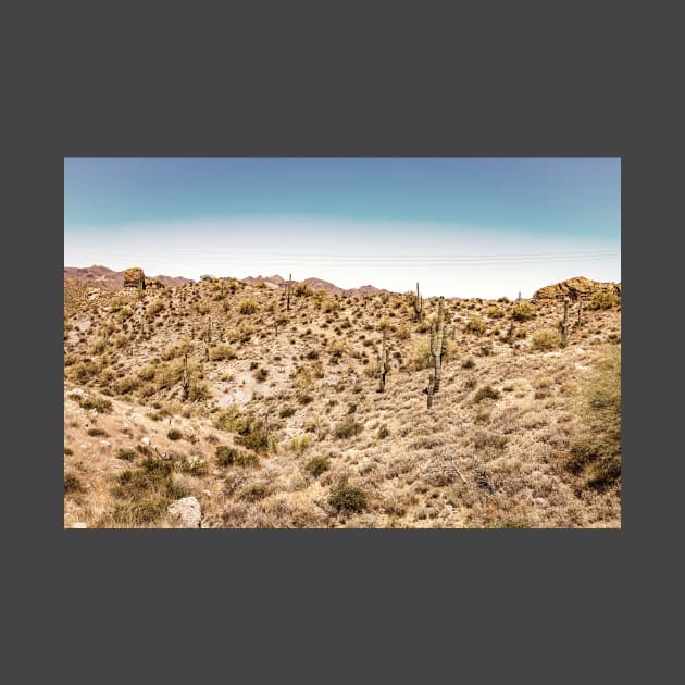 Apache Trail Scenic Drive View by Gestalt Imagery