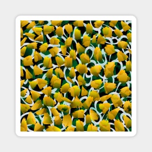 Yellow Blossoms Field Magnet