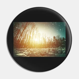 Clearing in winter forest Pin