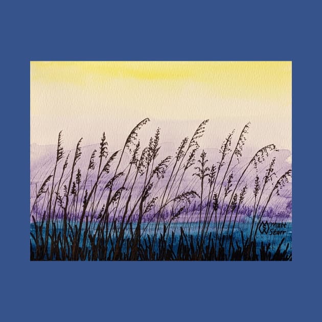 Sea oats by dawns early light by Matt Starr Fine Art