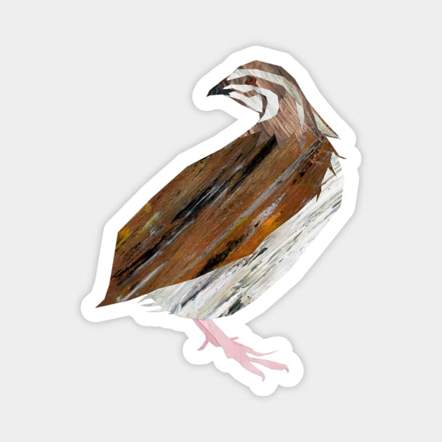 Quail Magnet by Babban Gaelg