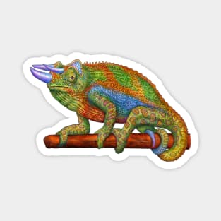 Jackon's Chameleon Magnet