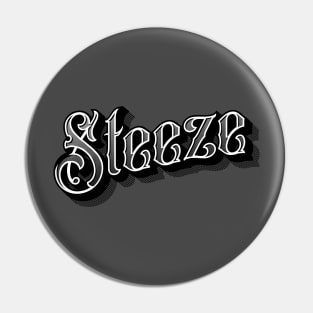 Steez Old School Pin