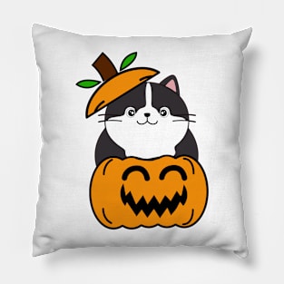 Cute Fat cat is in a pumpkin Pillow