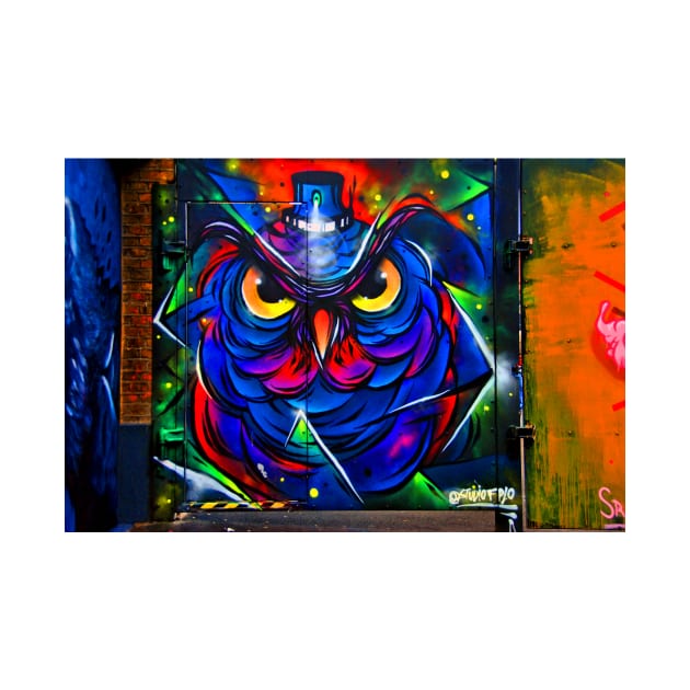 Owl Graffiti Street Art Camden Town London by AndyEvansPhotos