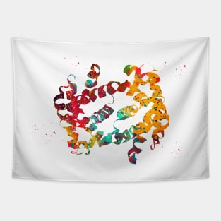 Hemoglobin Tapestry