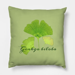 Ginkgo biloba illustration Pillow